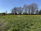 Blick Richtung Bahnlinie - 