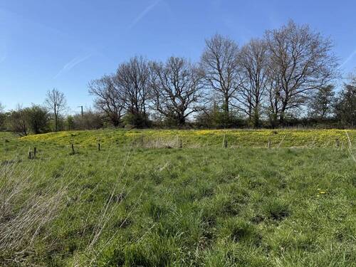 Blick Richtung Bahnlinie - 