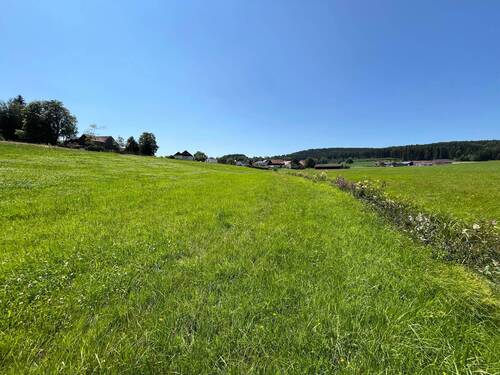 Hanglage - Grundstück in Waidhaus
