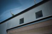 Fassade - 