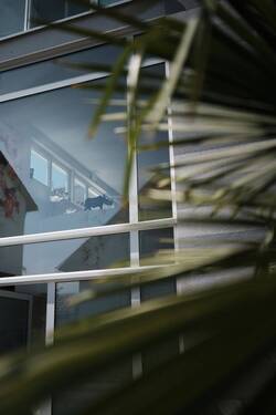 Details - 5 Zimmer Doppelhaushälfte in Walldorf