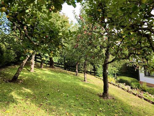 Gartendetail im Sommer - 