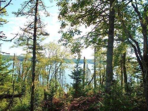 An der Wasserfront - 