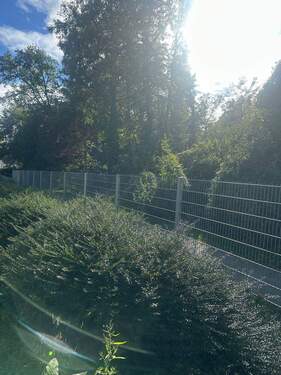 Garten mit Metallzaun - 
