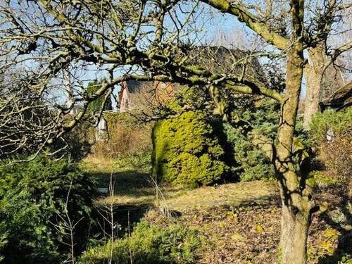 Blick zum Nachbargrundstück - Grundstück in Berlin