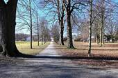 Park - 