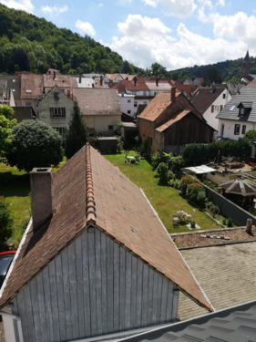 Baugrundstück von West nach Ost_2022.06.25.png - 