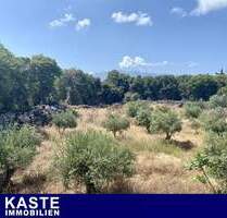 10.000 qm Grundstück in Xirosterni, Kreta: Harmonische Balance zwischen Natur und Potenzial