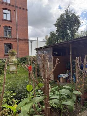Hinterhof - 