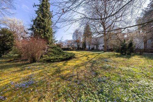 herrliches Grundstück - 