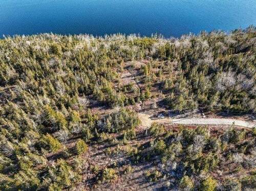 Drohnenaufnahme - Zufahrt zum Land - 