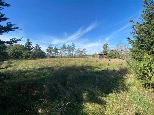 Blick auf Gesamtgrundstück - 