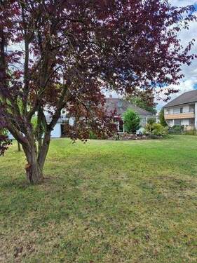 Garten - 4 Zimmer Einfamilienhaus in Wolfhagen