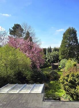Ausblick von der Dachterrasse - 