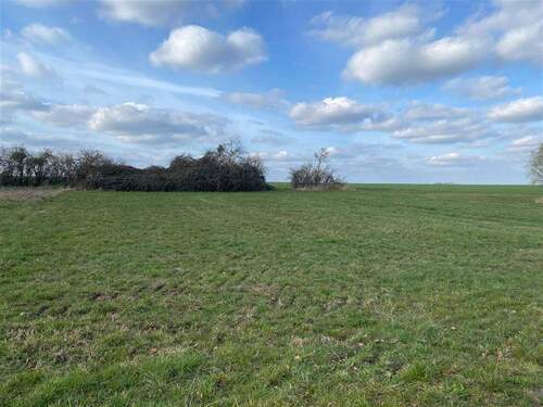 Blick Bauerwartungsland - Bauen Sie Ihr Eigenheim* Kornhain bei Wurzen* Bauerwartungsland* Grüne Lage*
