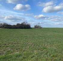 Bauen Sie Ihr Eigenheim* Kornhain bei Wurzen* Bauerwartungsland* Grüne Lage*