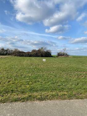 viel Platz - Grundstück in Wurzen
