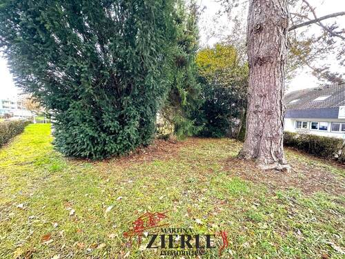4 Garten - 