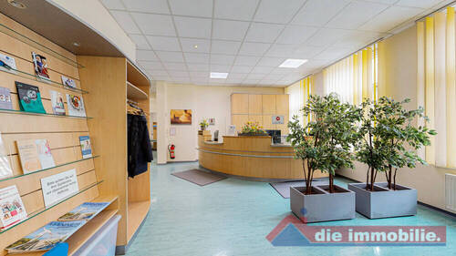 Empfang_2 - Büro in Magdeburg / Altstadt zur Miete