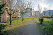 Grünanlage - 