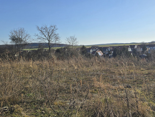 Fl124 - Grundstück Geschwenda - 4 Zimmer Einfamilienhaus zum Kaufen in Geratal-Geschwenda