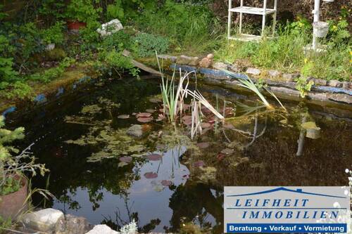 Gartenteich - 