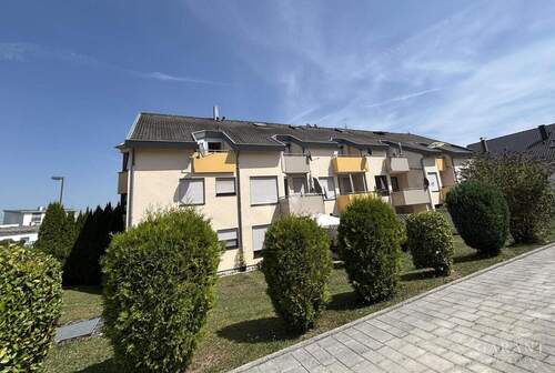 IMG 7110 - 