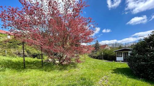 Seitlicher Blick auf das Grundstück - 