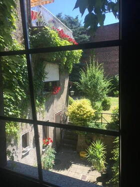Blick in den Garten - 