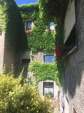 Ansicht Hinterhaus - Mehrfamilienhaus, Wohnhaus mit 230,00 m&sup2; in Burgstädt zum Kaufen