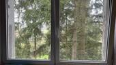 Fenster - 