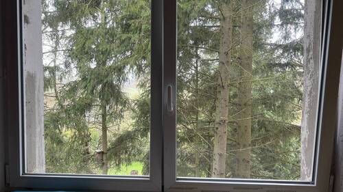 Fenster - 