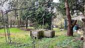 Garten - 