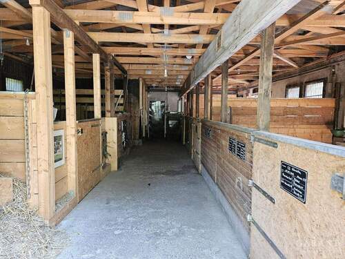 Boxen Innenansicht - 1 Zimmer Einfamilienhaus in Metzingen