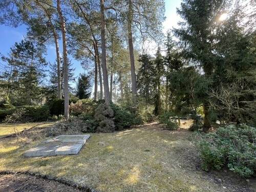 Blick zur Straße - Grundstück in Wandlitz OT Basdorf zum Kaufen