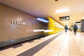 Zaunkönig Weg_U-bahnBritzSud - 