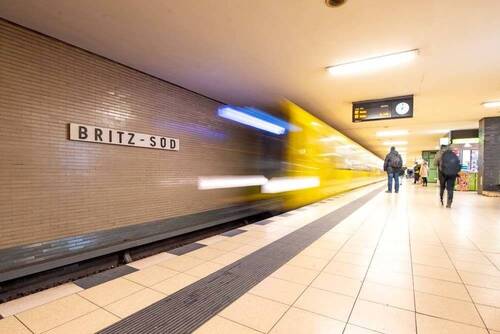 Zaunkönig Weg_U-bahnBritzSud - 