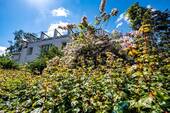 Fassade_3780 - 