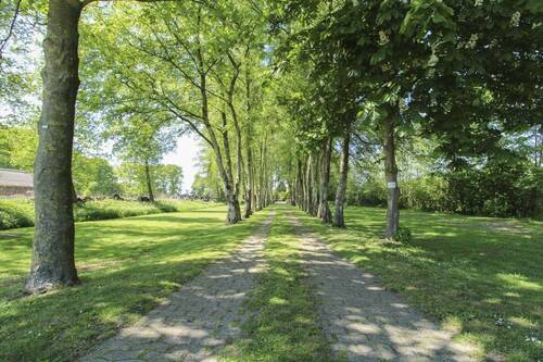 Allee Einfahrt - 