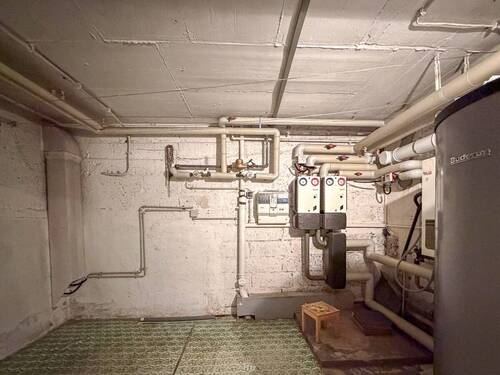 Koe RMH am Waldrand-19 - 