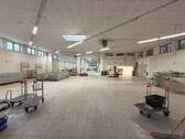 5180-Halle gesamt - Halle zur Miete in Viechtach