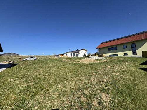 Bild5 - 