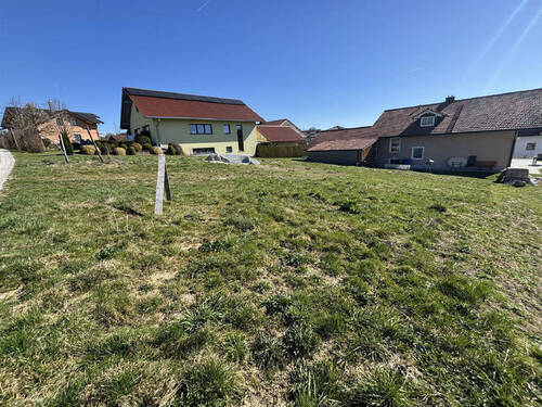 Bild7 - 