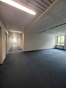 Bürofläche EG - Moderne Büroflächen EG: 6 Monate mietfrei, flexible Gestaltung, Top Lage