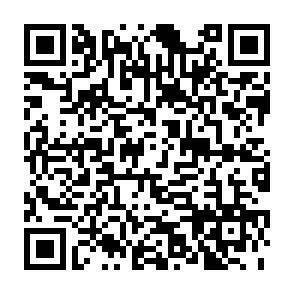 QR-Code - 