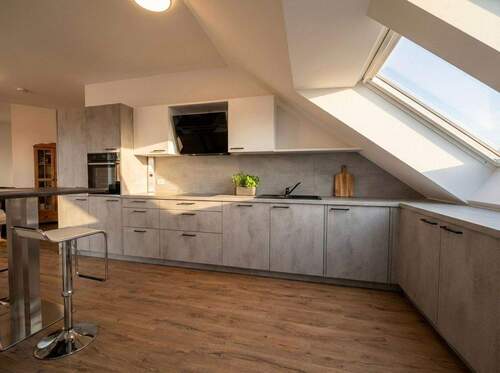 Offene Küche mit Design-Einbauküche - 