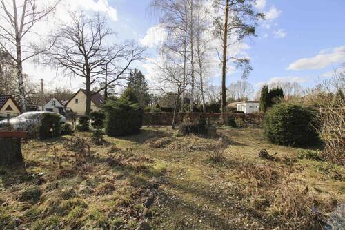 Vorderer Grundstücksbereich - 