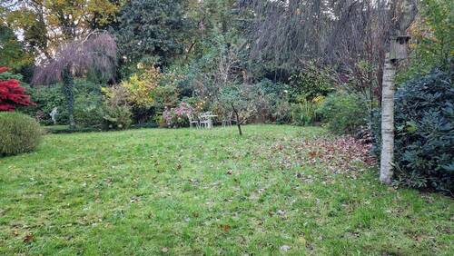 Das parkähnliche Grundstück - 