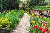 florale Highlights - 