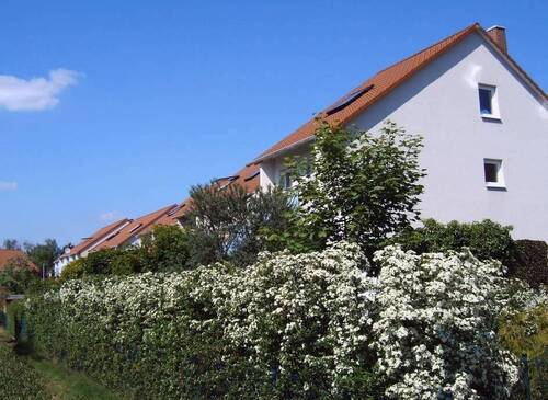 Umgebung-Hausansichten - 